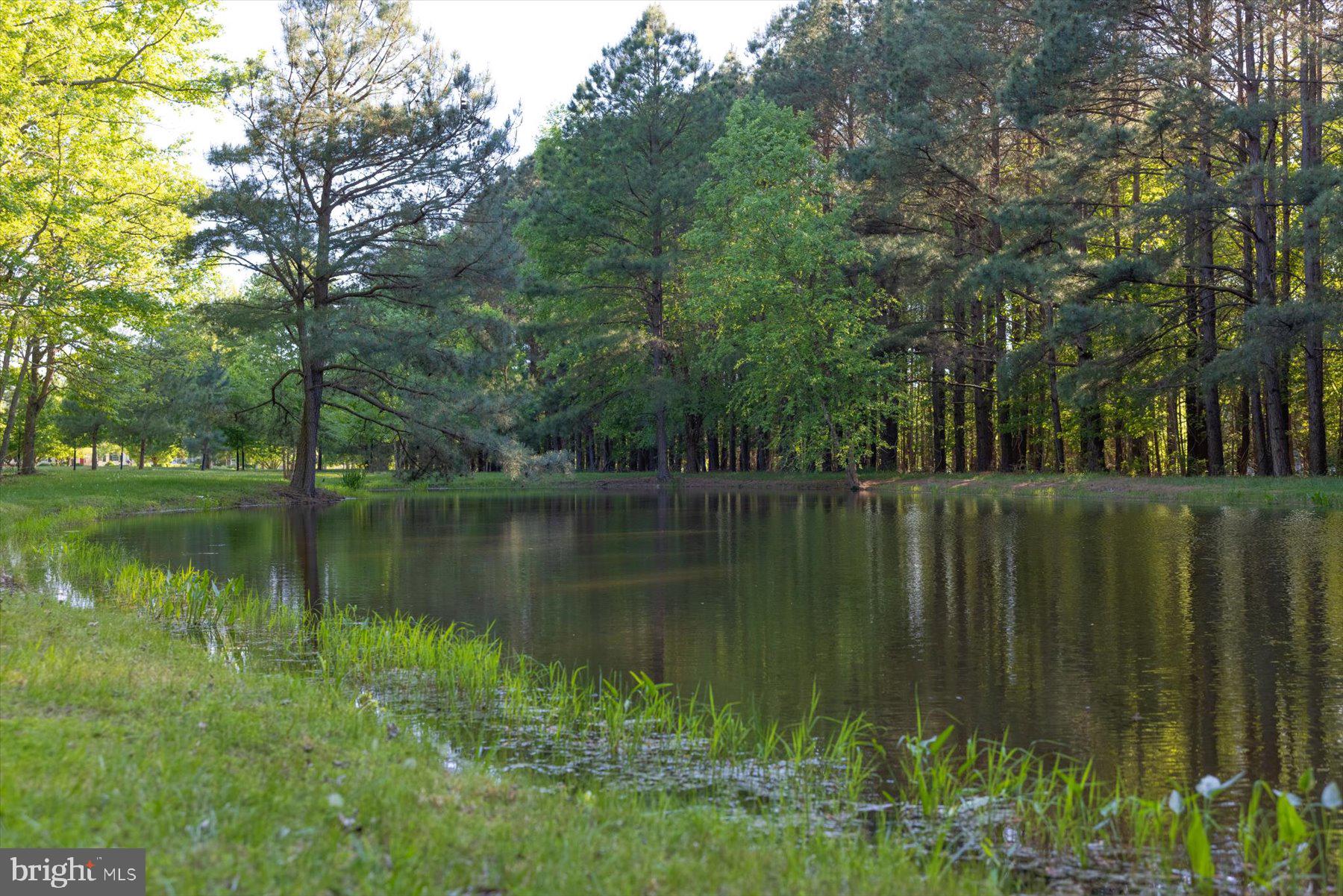 24679 DEEP NECK ROAD