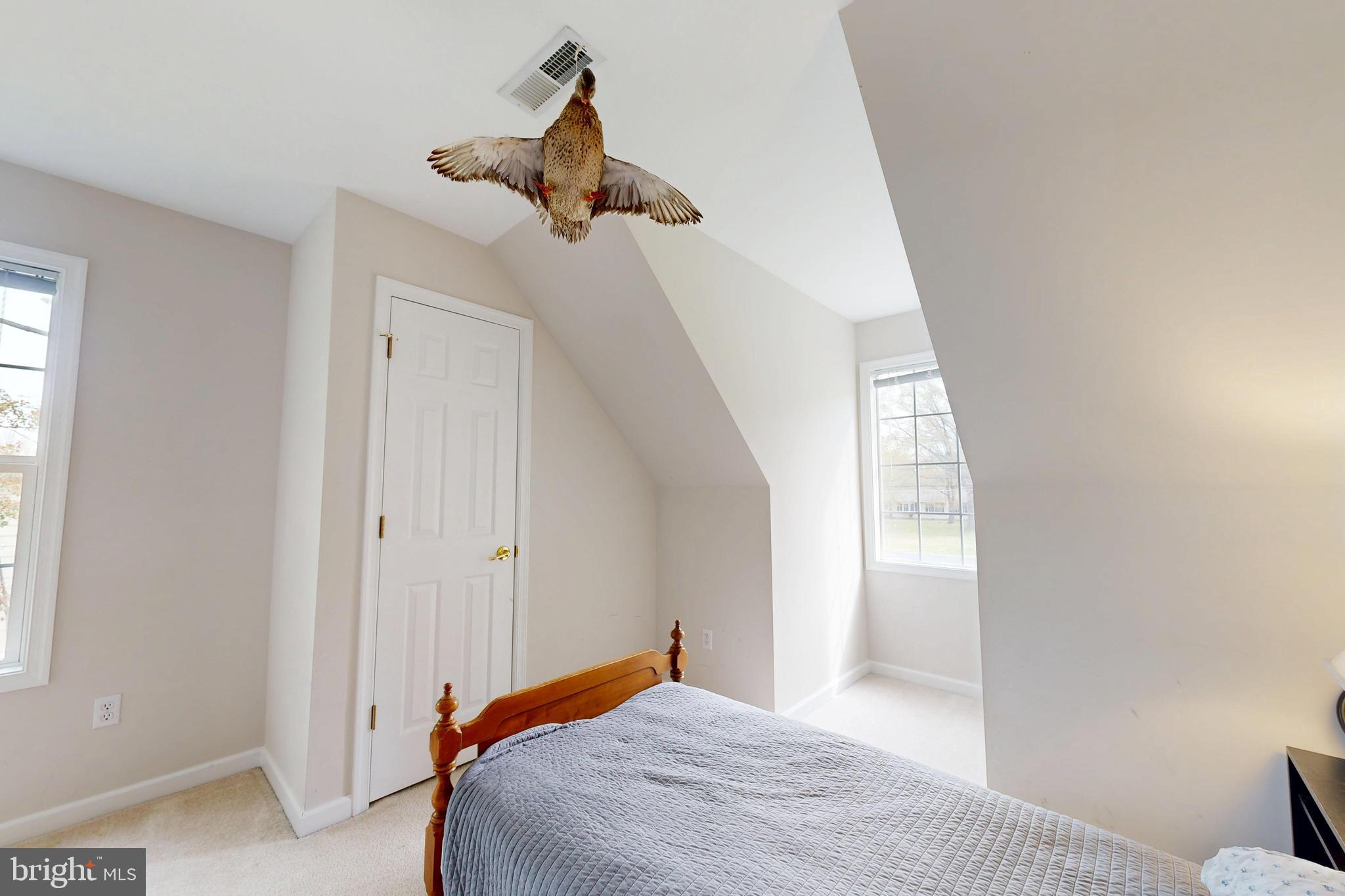 10490 LONGWOODS ROAD