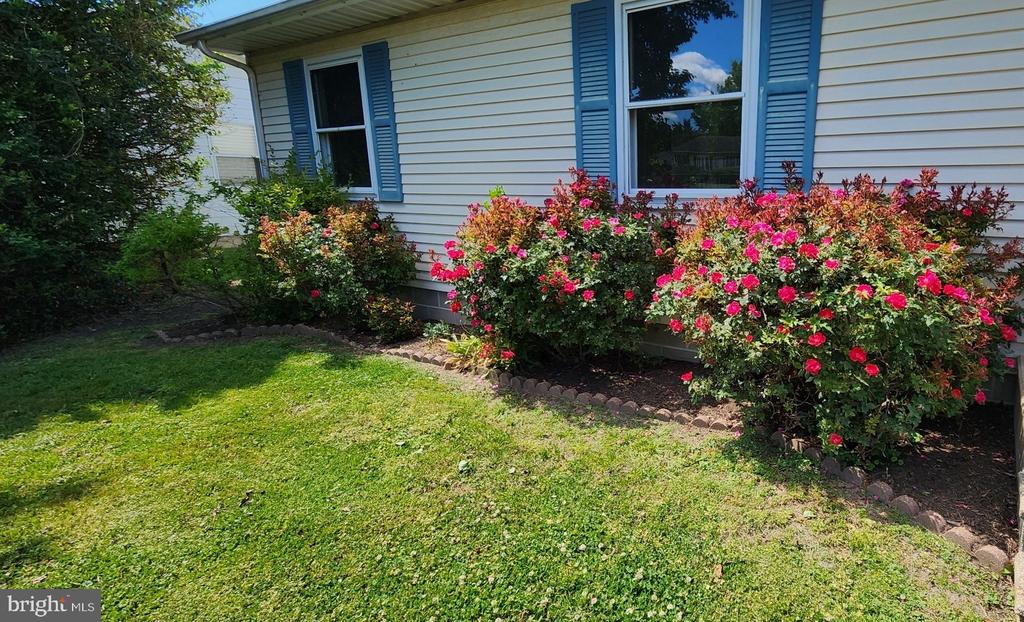 507 HAZELWOOD DRIVE