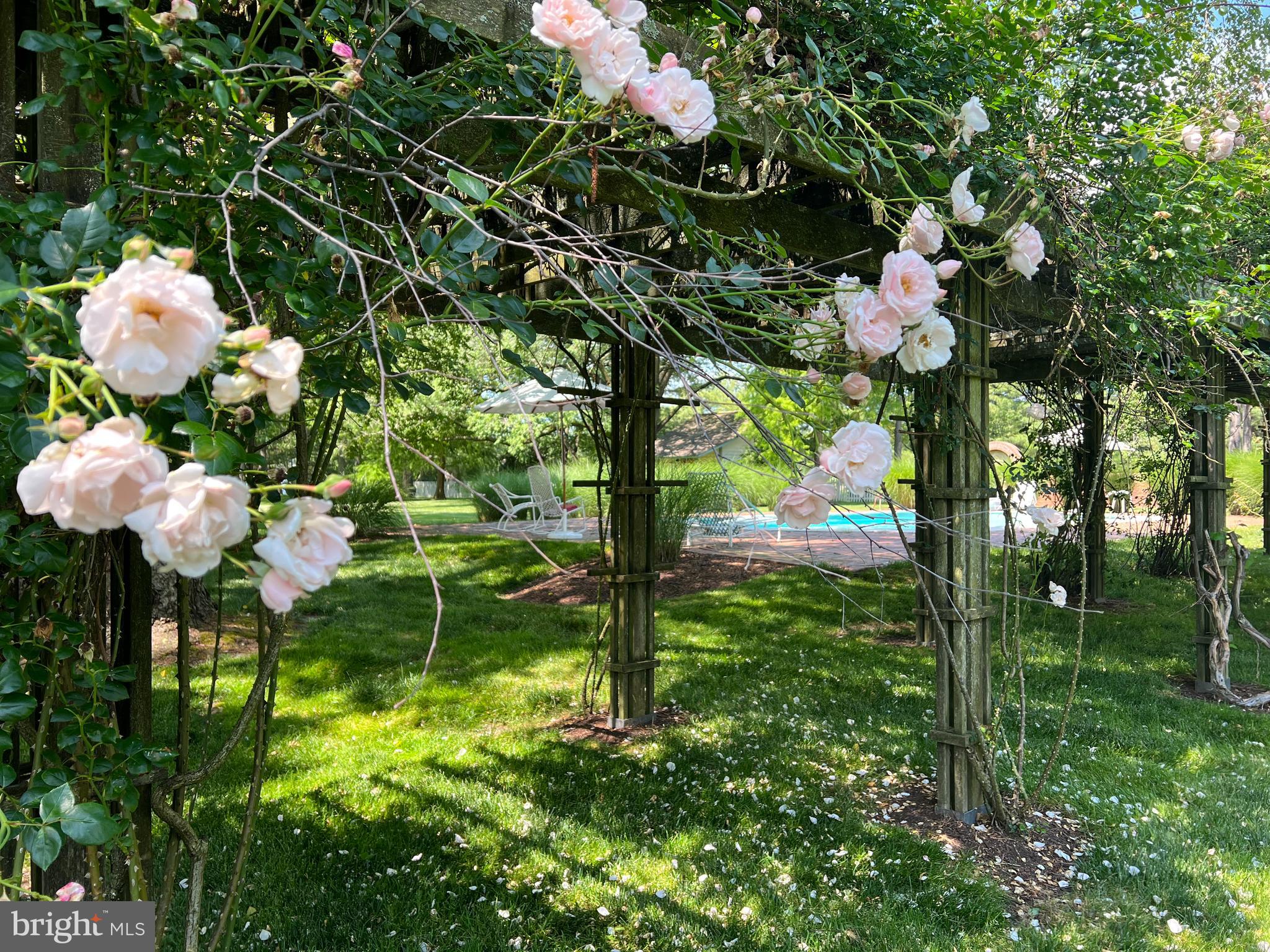 27293 SOUTHSIDE ISLAND CREEK ROAD