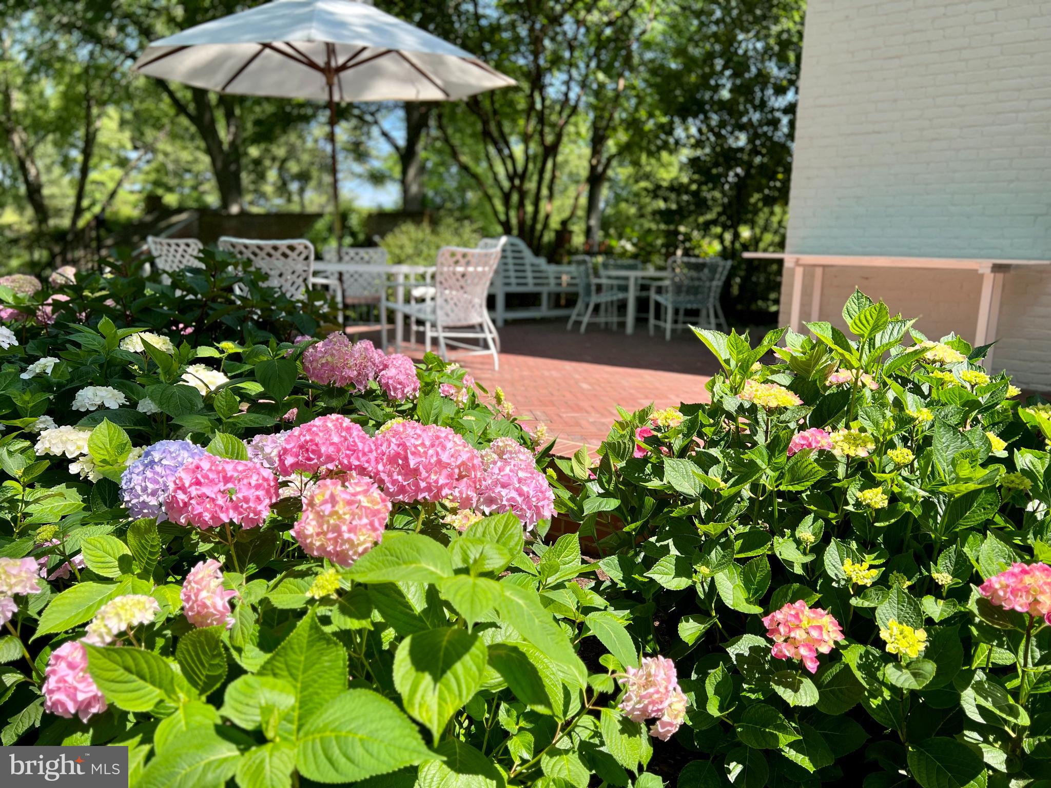 27293 SOUTHSIDE ISLAND CREEK ROAD