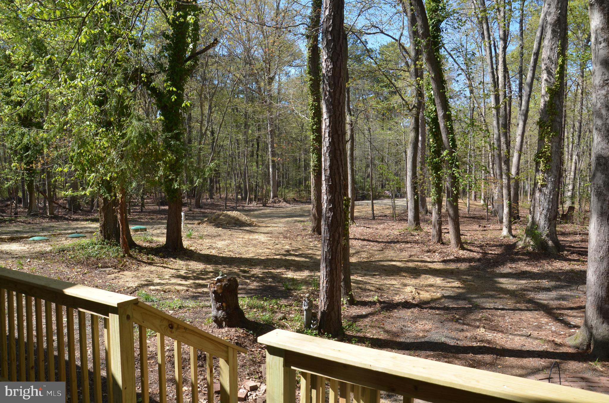 23266 MALLARD POINT ROAD