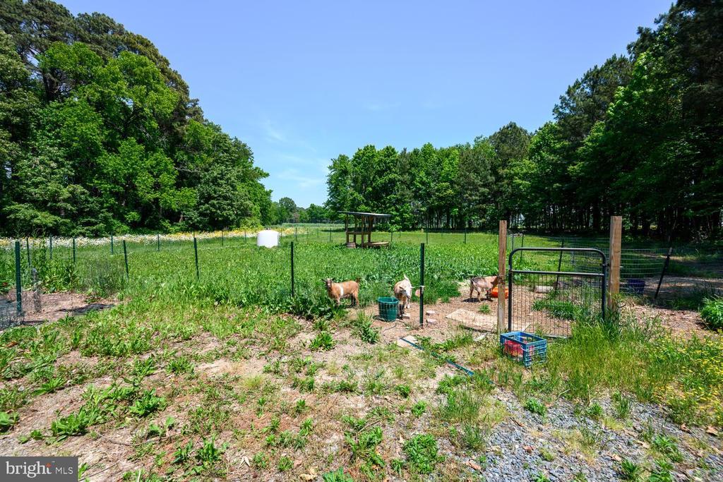 25610 CHANCE FARM COURT