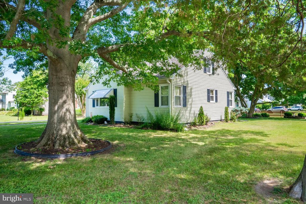 107 WRIGHTSON AVENUE