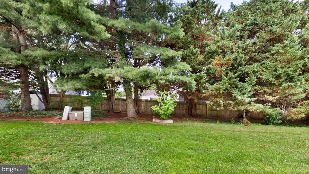 29595 DUTCHMANS LANE 58