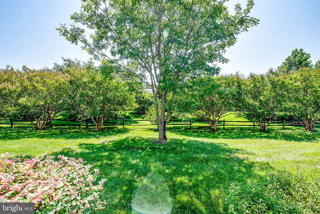 9531 QUAIL HOLLOW DRIVE Unit: 405