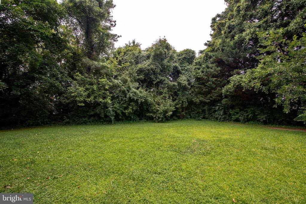 317 CHOPTANK AVENUE