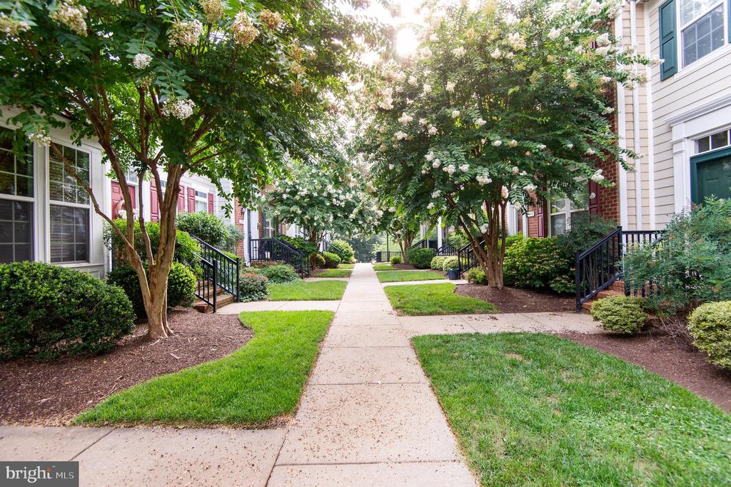 300 DIXON STREET Unit: 505