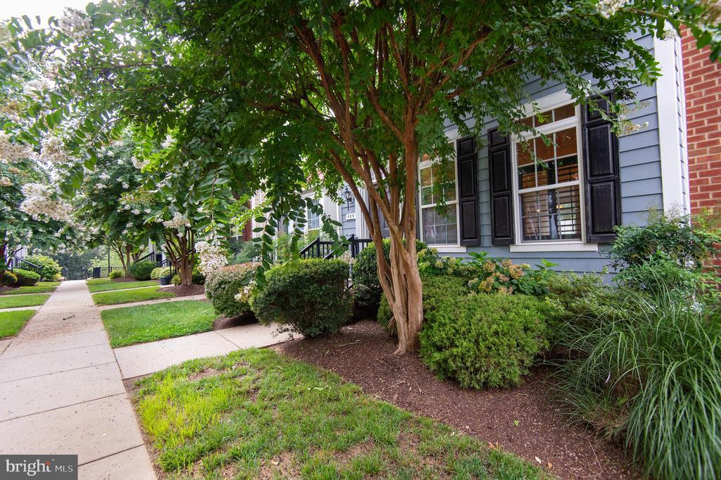 300 DIXON STREET Unit: 505
