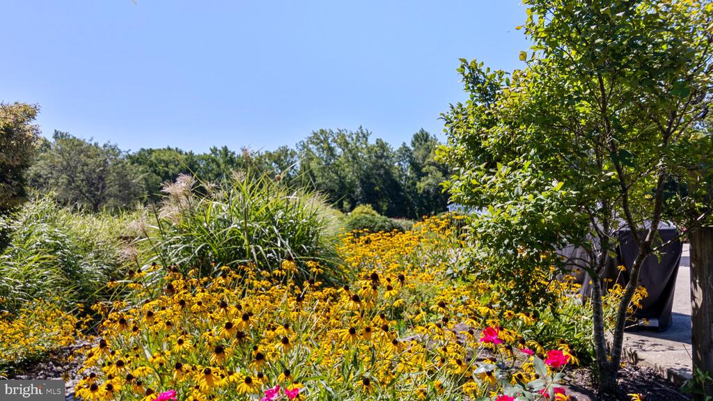 29747 EASTON FARMS