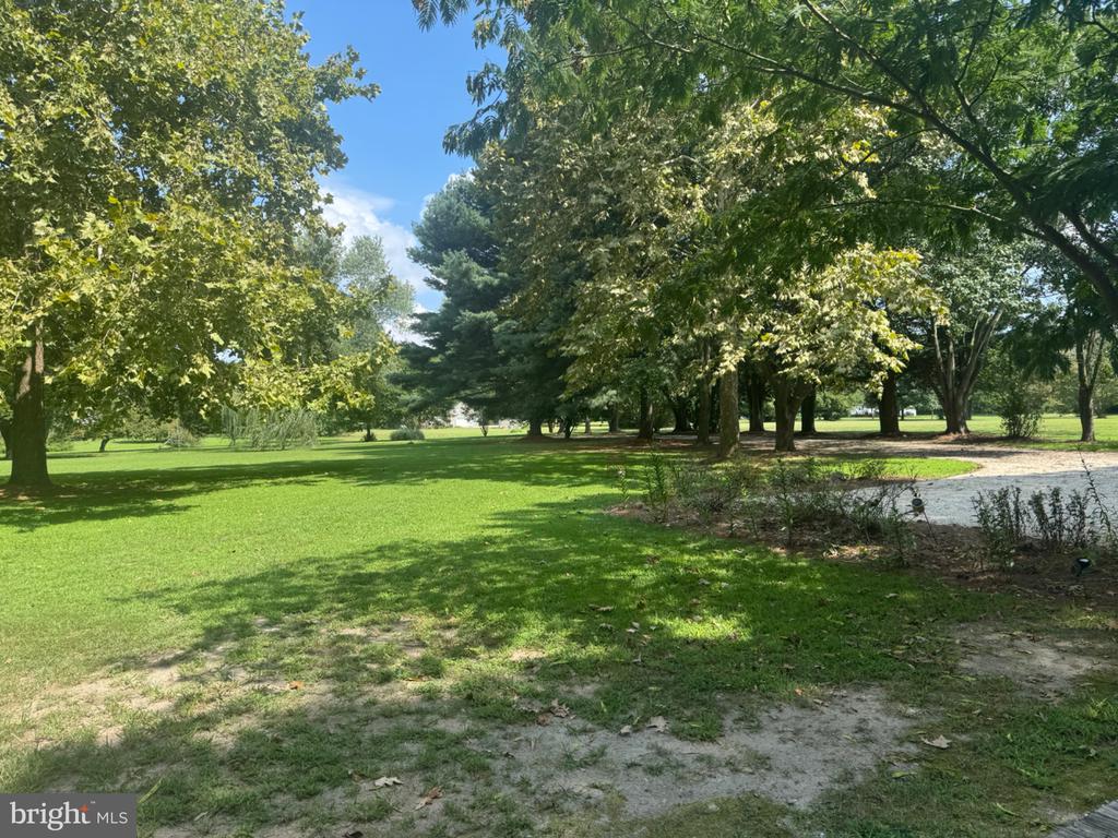 32659 DISCOVERY DRIVE