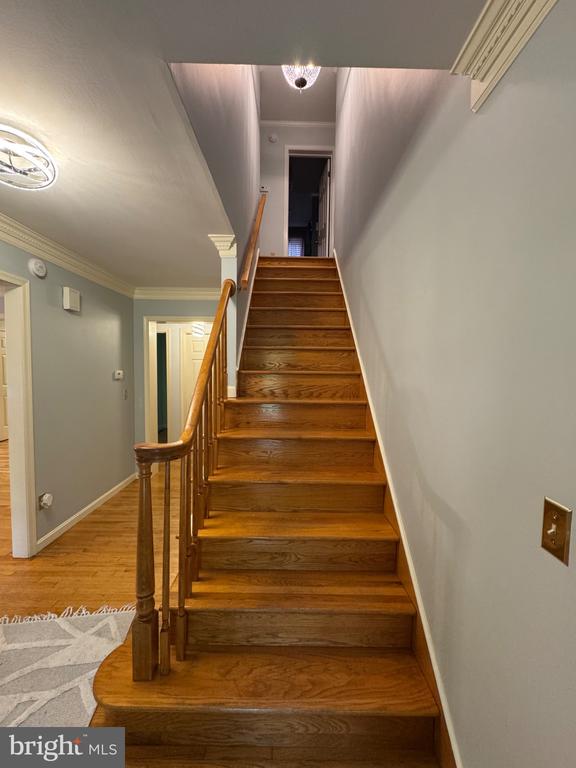 32659 DISCOVERY DRIVE