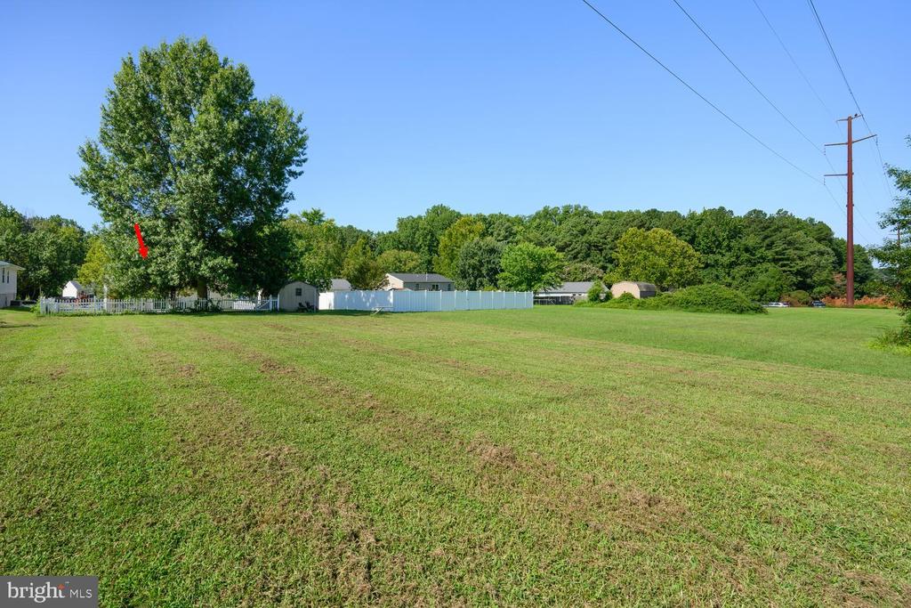 29245 CORBIN PARKWAY