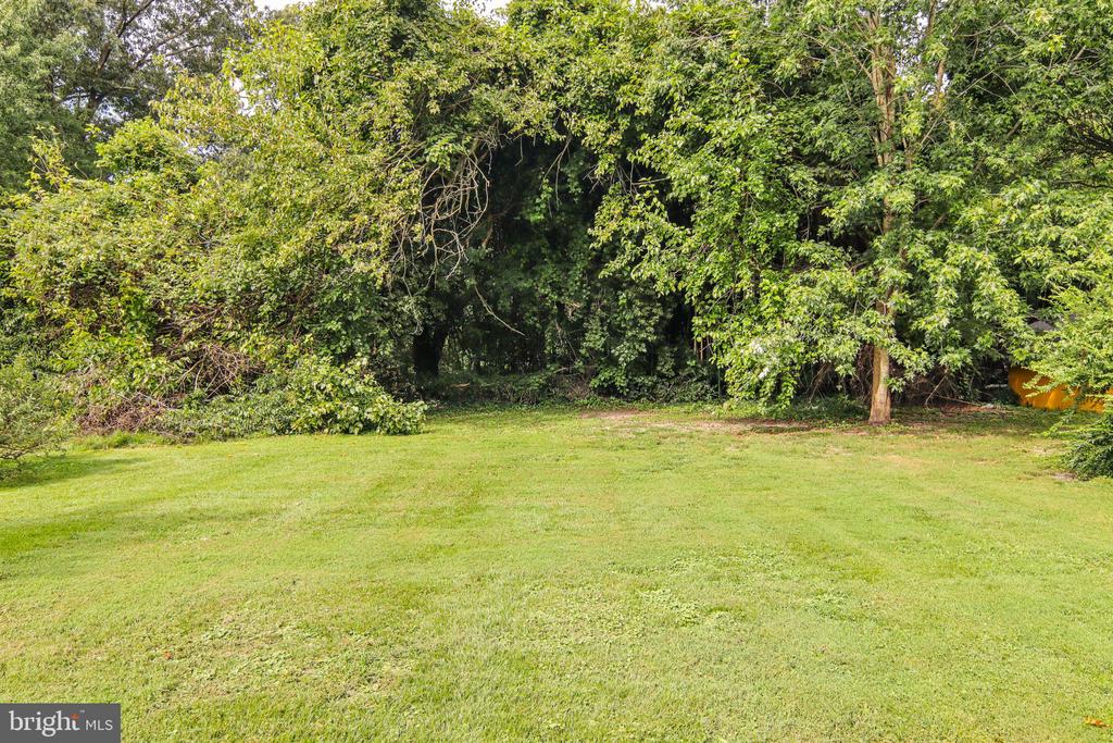 241 BROOKWOOD AVENUE