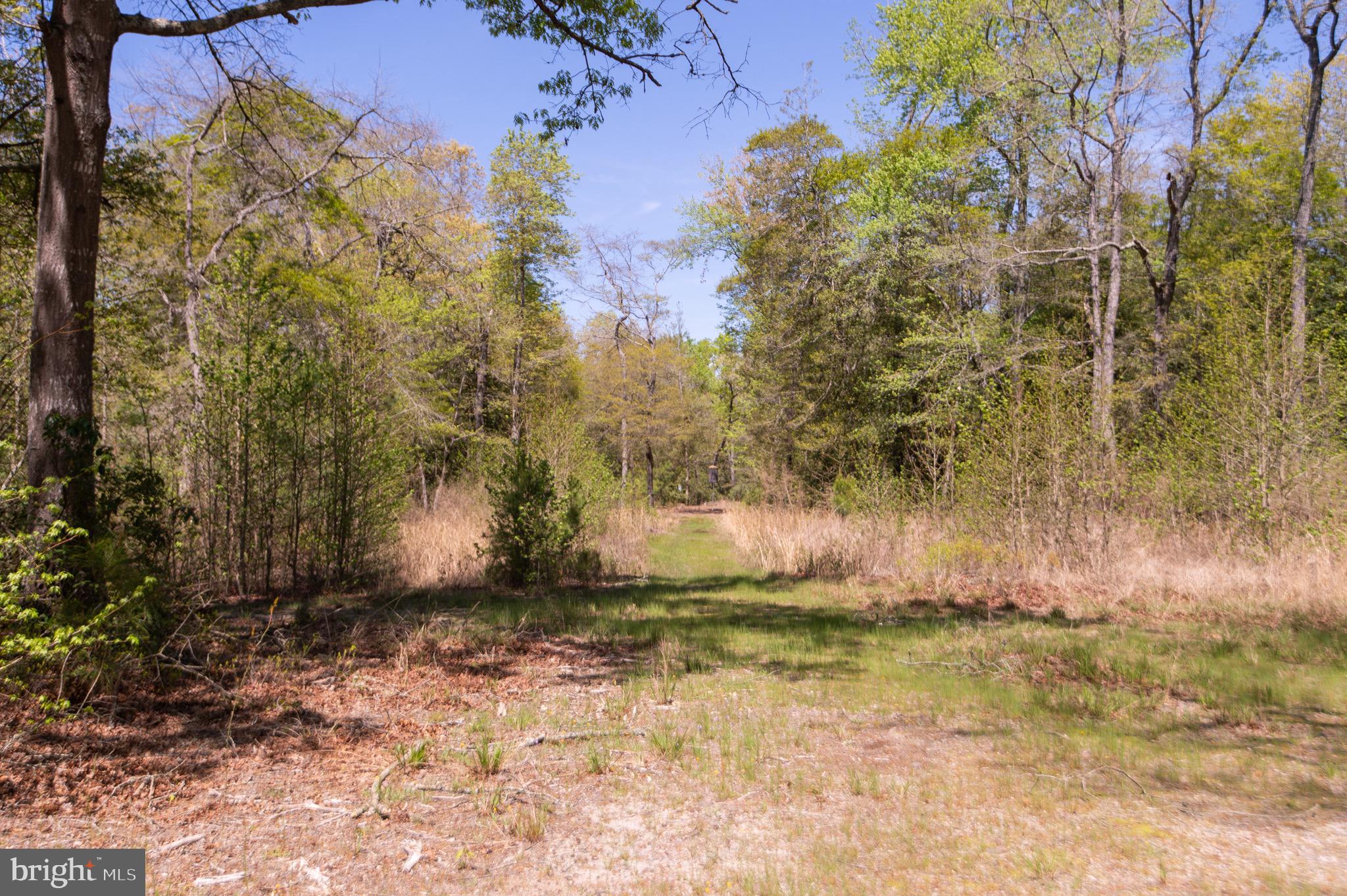 10248 Riverton Rd