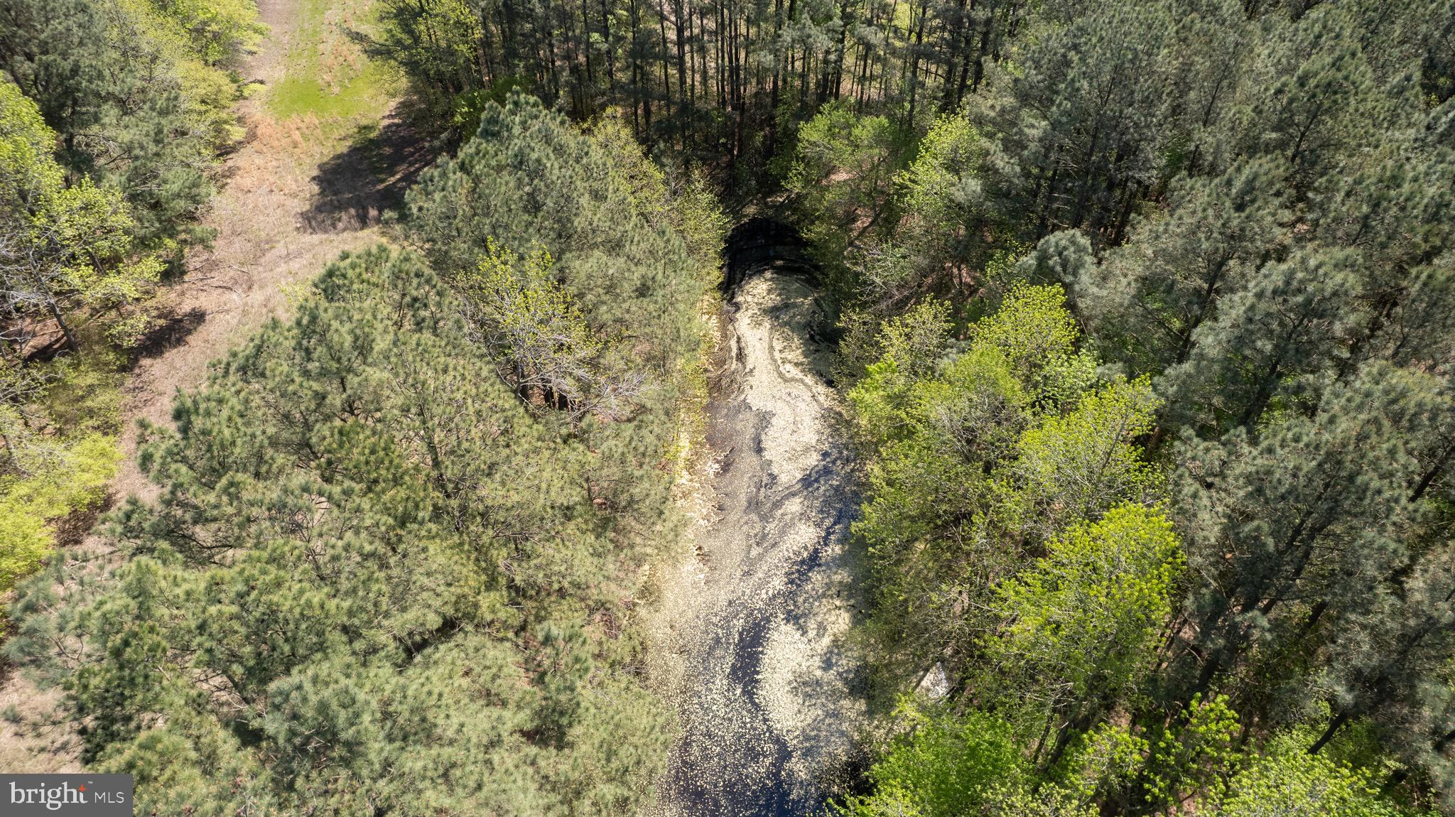10248 Riverton Rd