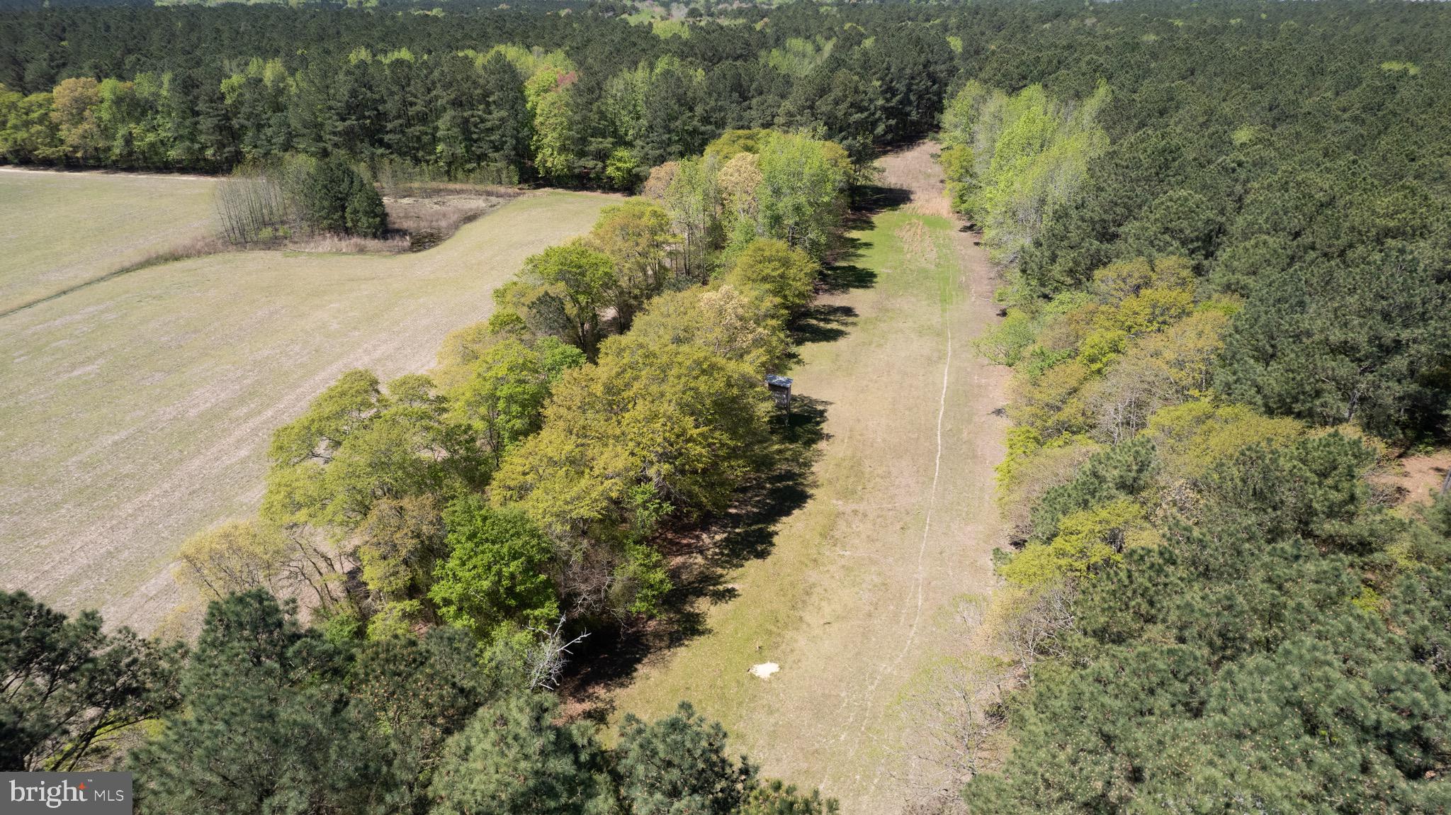 10248 Riverton Rd