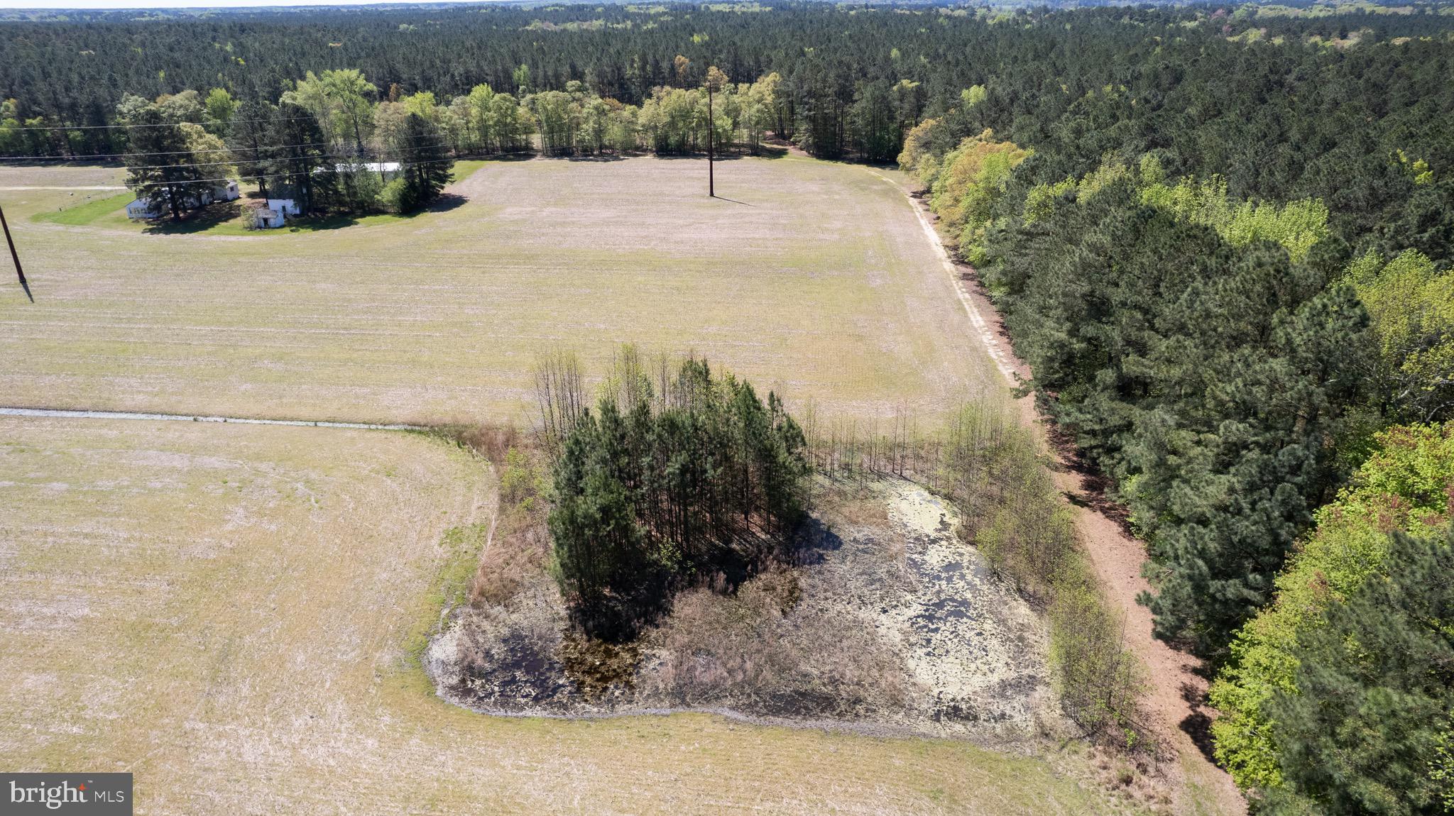 10248 Riverton Rd