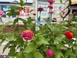 20835 Nanticoke Rd