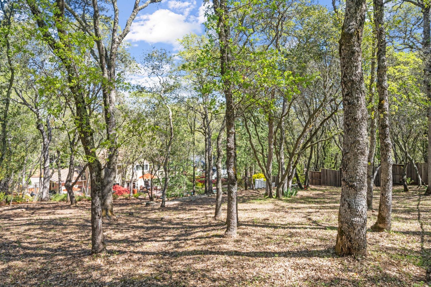 1936 Sheffield Drive