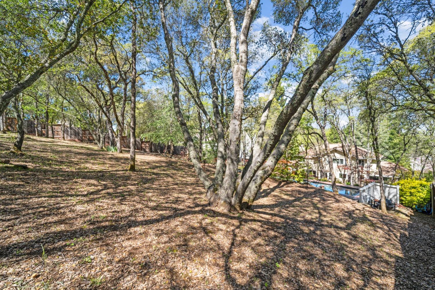 1936 Sheffield Drive