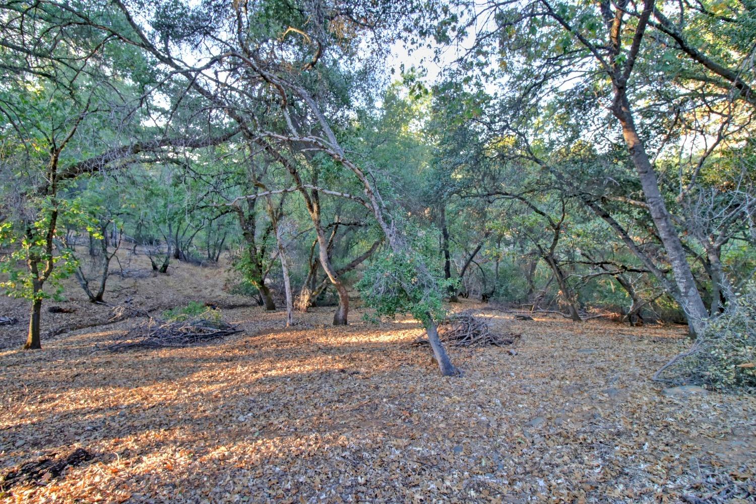 5170 Highcrest Drive