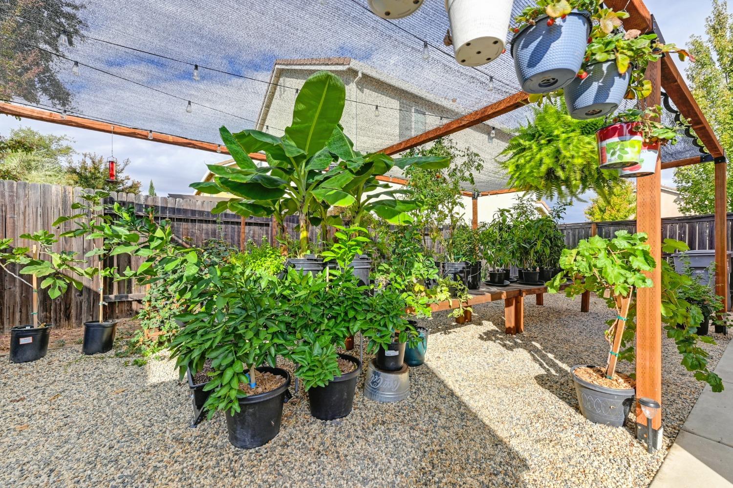 3605 Trentino Street