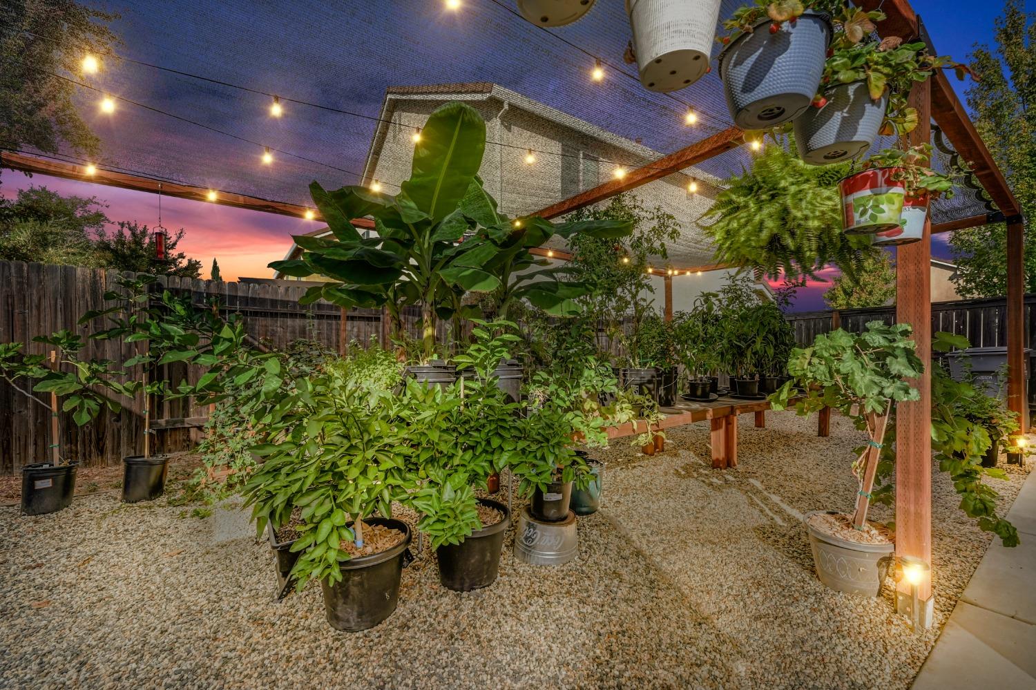 3605 Trentino Street