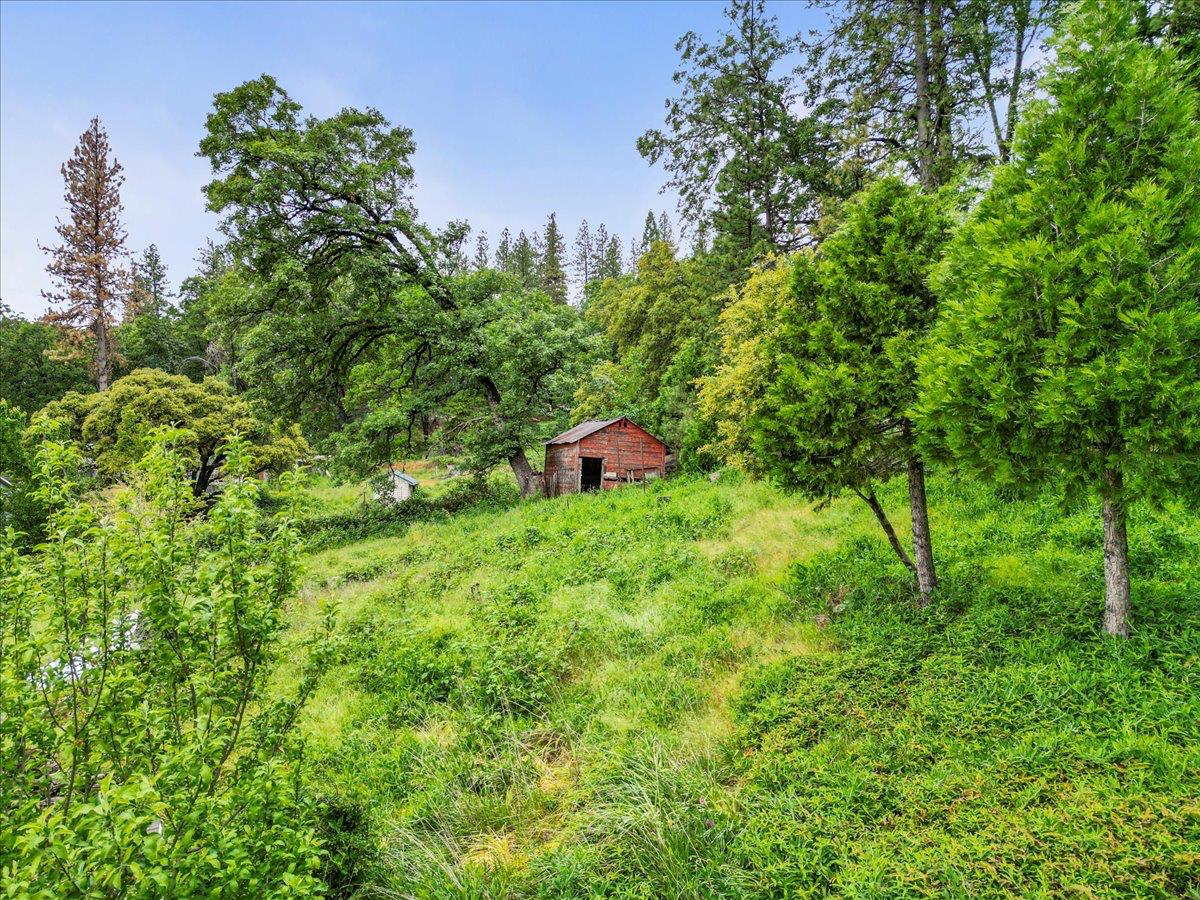 13045 La Barr Meadows Road