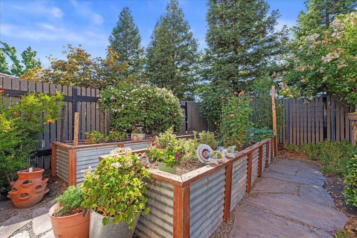 1740 Poppy Field Drive