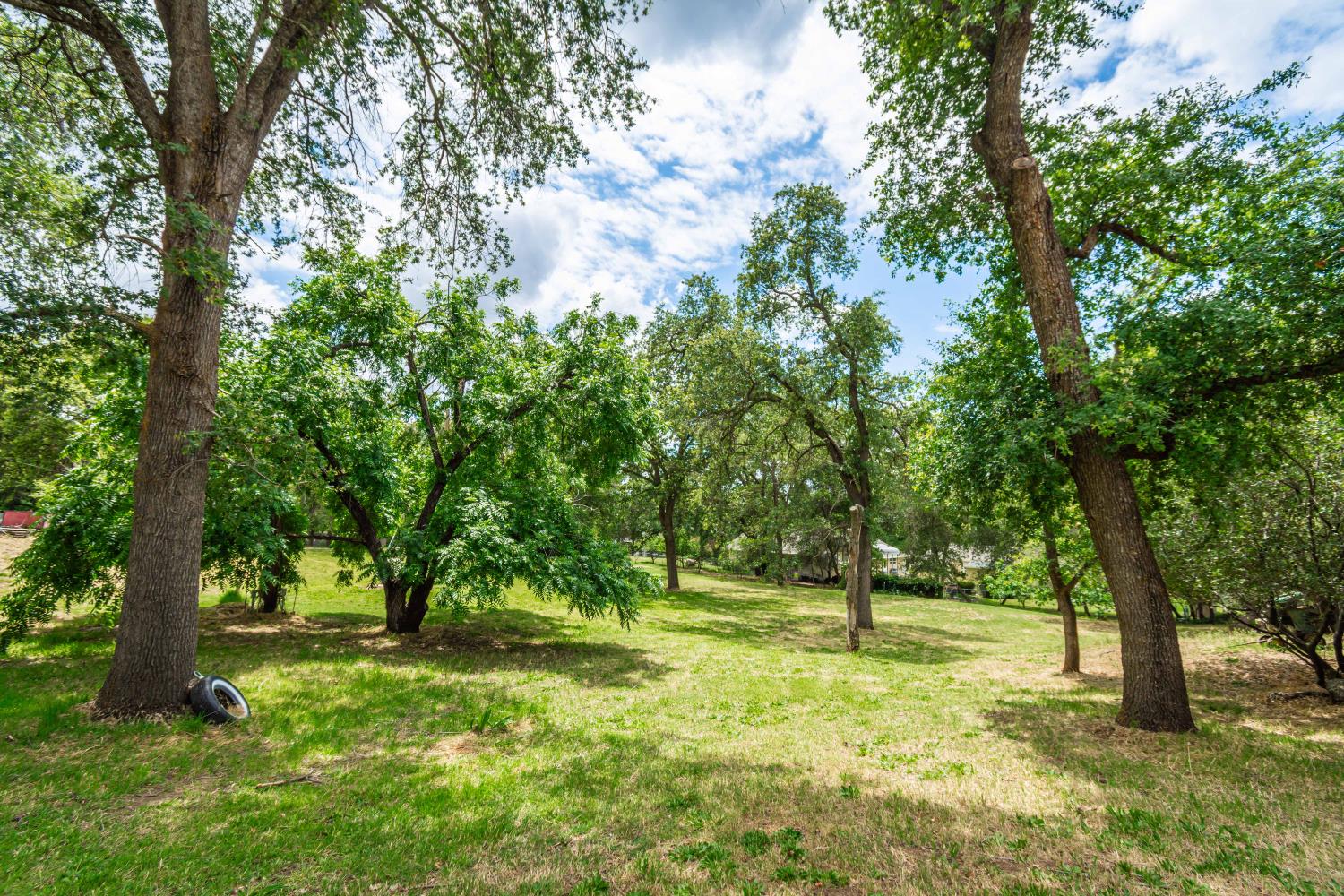 7921 Rasmussen Road
