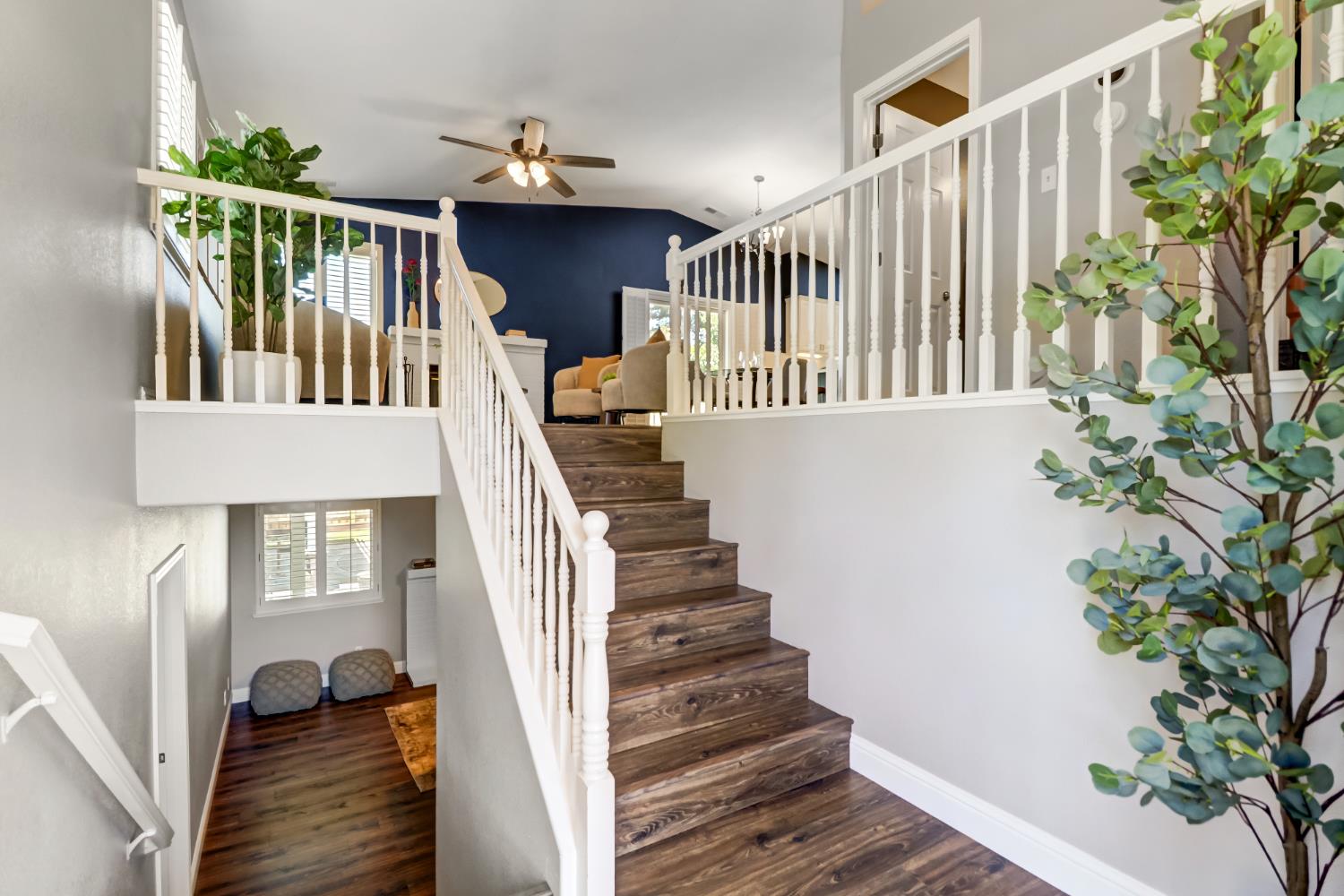 101 Buena Vista Court