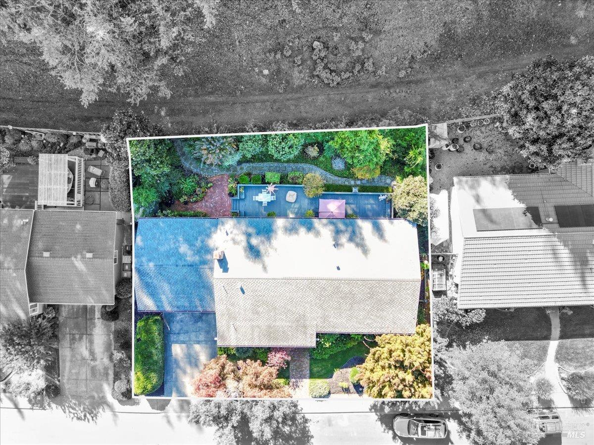 2539 Rollingwood Drive