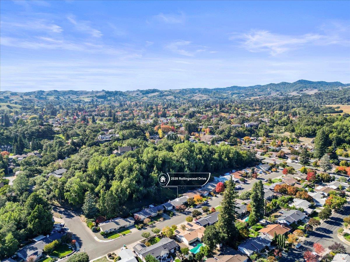 2539 Rollingwood Drive