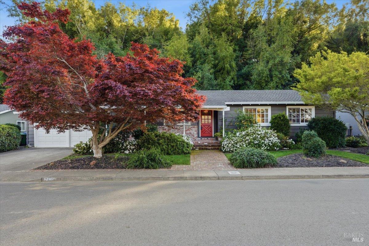 2539 Rollingwood Drive