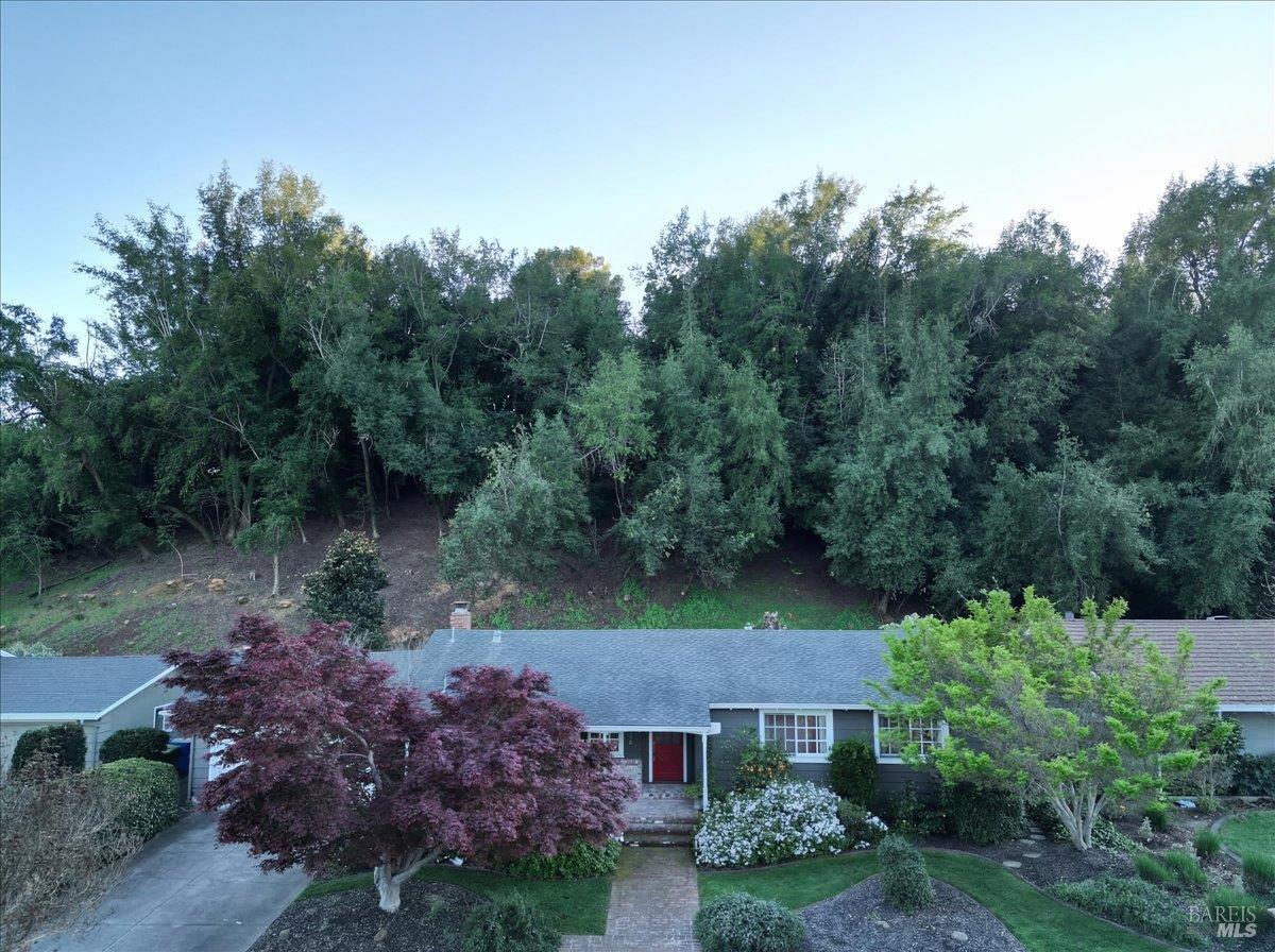 2539 Rollingwood Drive