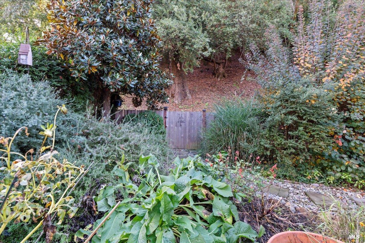 2539 Rollingwood Drive