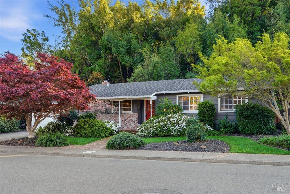 2539 Rollingwood Drive