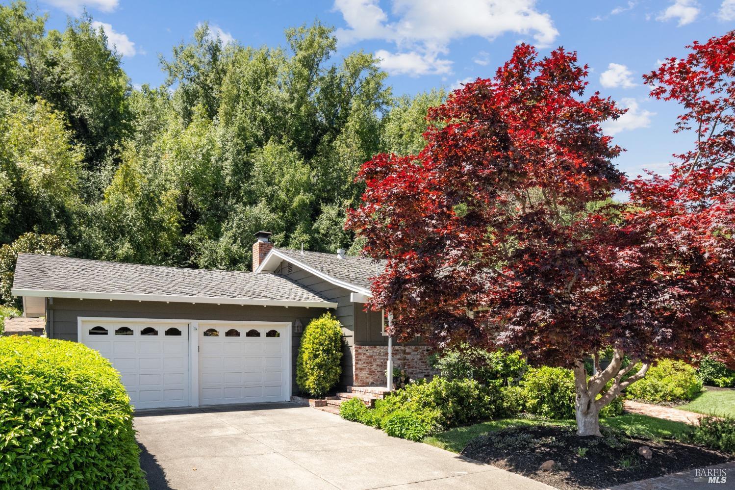 2539 Rollingwood Drive