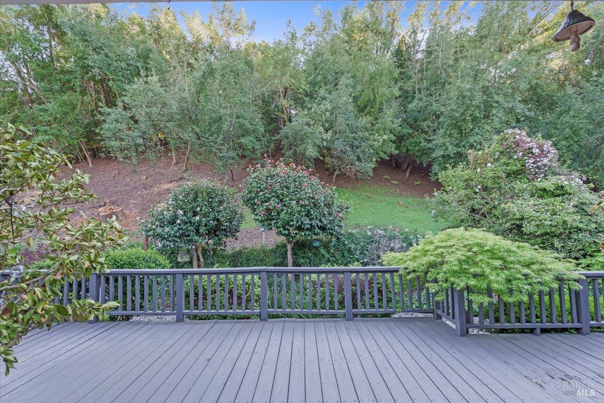 2539 Rollingwood Drive