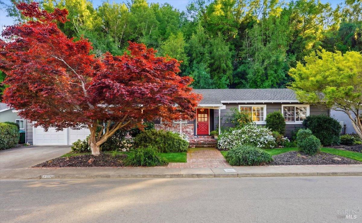 2539 Rollingwood Drive