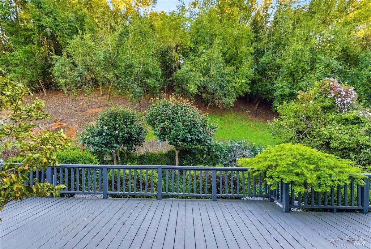 2539 Rollingwood Drive