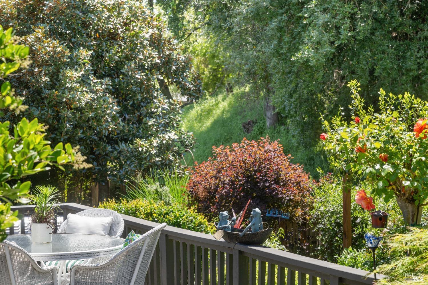 2539 Rollingwood Drive