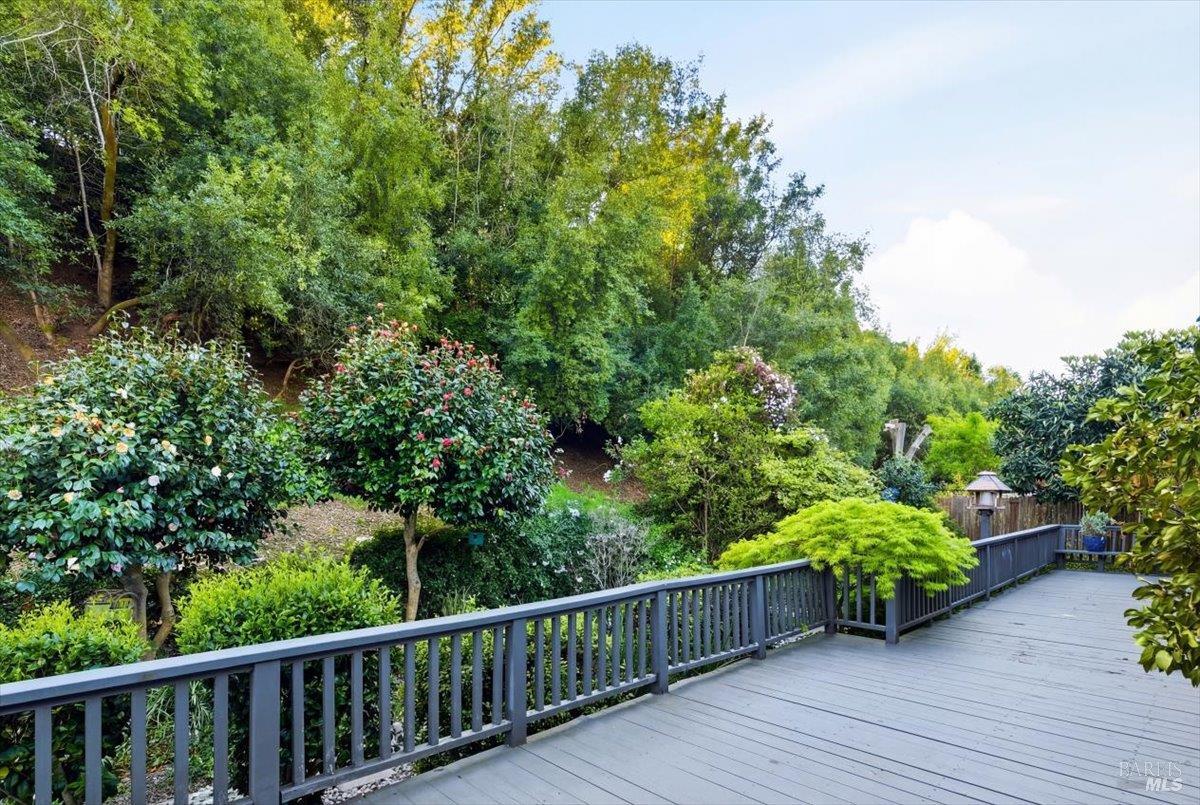 2539 Rollingwood Drive