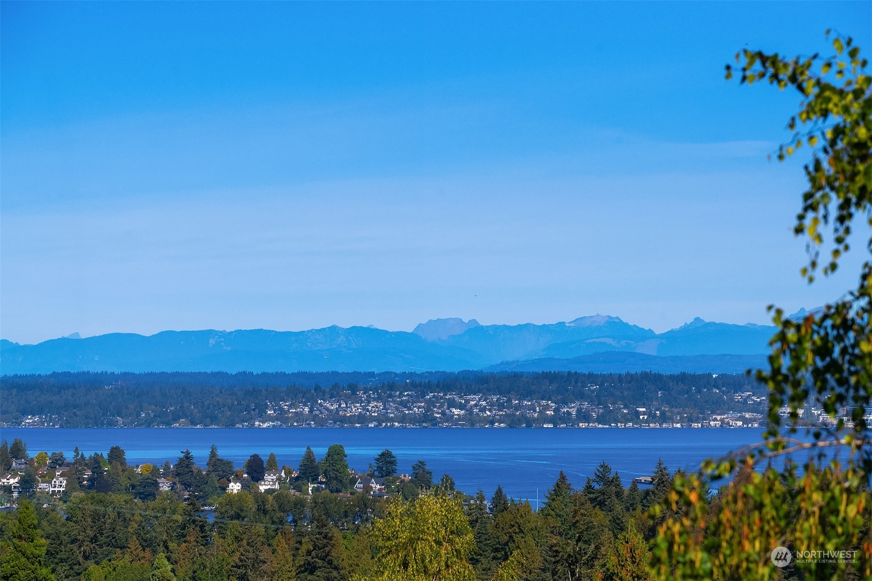 2011 E Crescent Drive