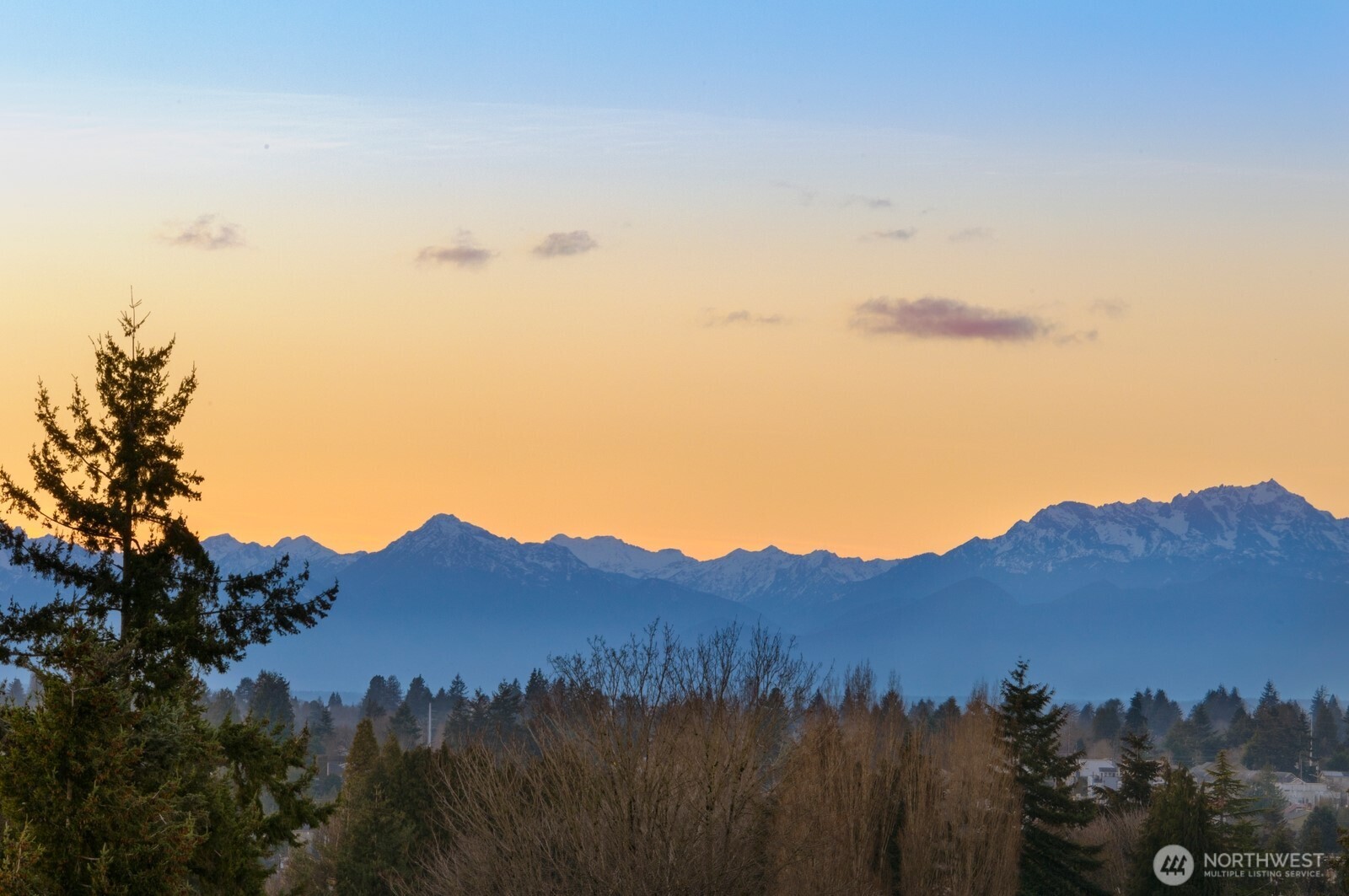 339 NE 90th Street Unit: B