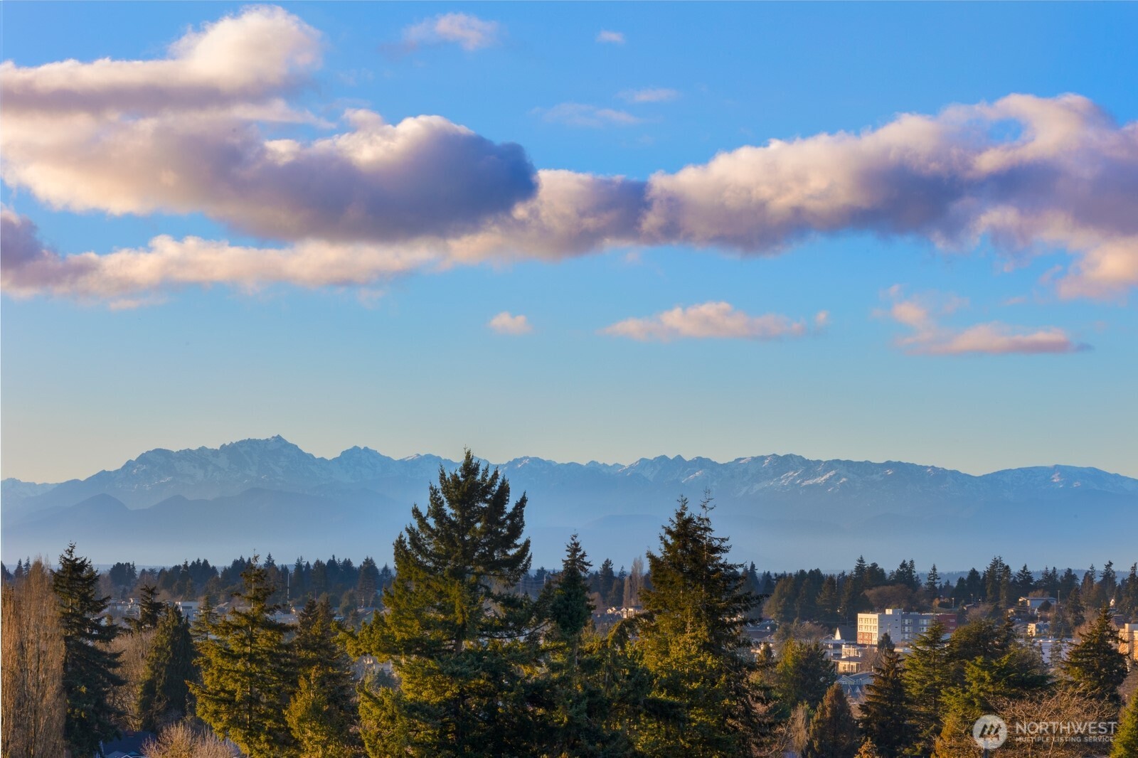 339 NE 90th Street Unit: B