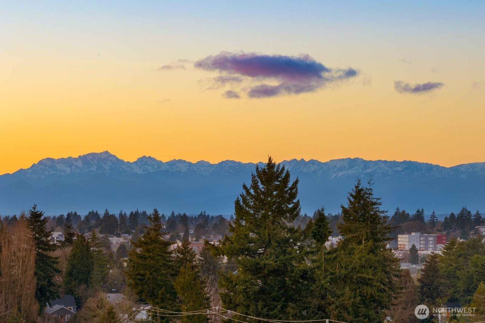 339 NE 90th Street Unit: B