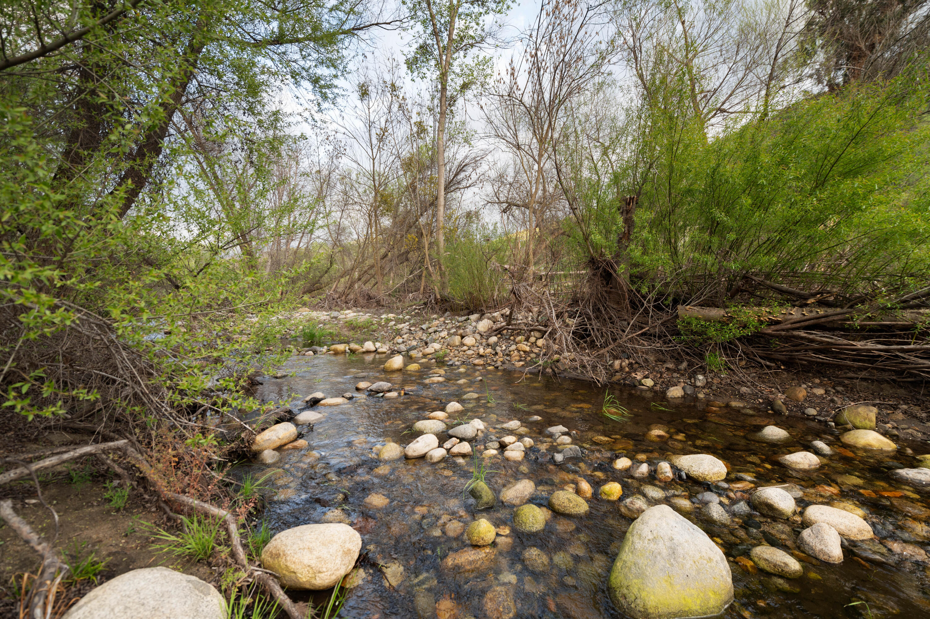 42440 Kaweah River Drive
