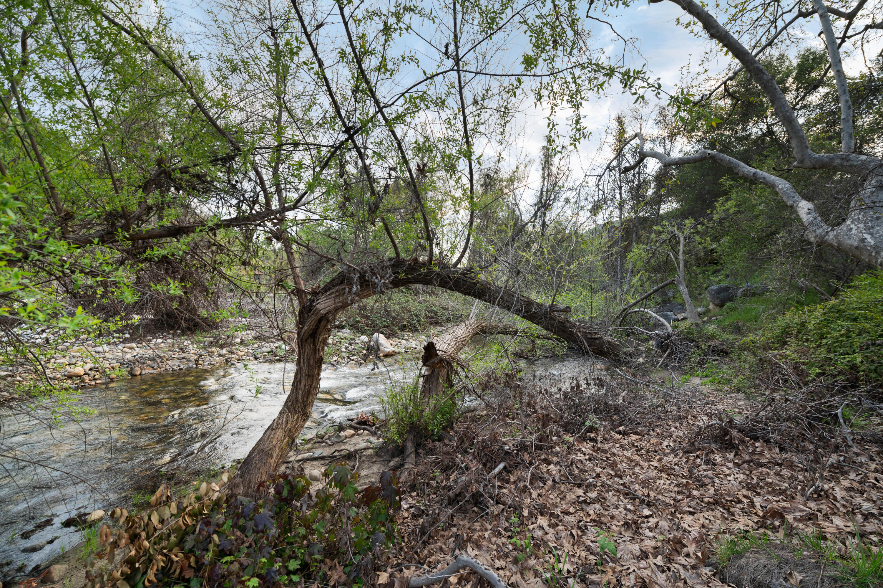 42440 Kaweah River Drive